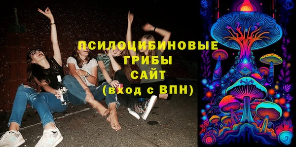 мдпв Вязники