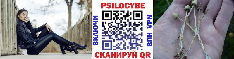 Галлюциногенные грибы Psilocybine cubensis  kraken tor  Приморск 