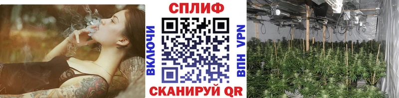 Бошки марихуана гибрид Приморск